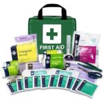 Lewis-Plast Premium Erste-Hilfe-Set mit 90 Teilen - Enthält Augenspülung, 2 x Kälte (Eis) Packungen und Notfalldecke für Zuhause, Büro, Auto, Wohnwagen, Arbeitsplatz, Reisen - Grün